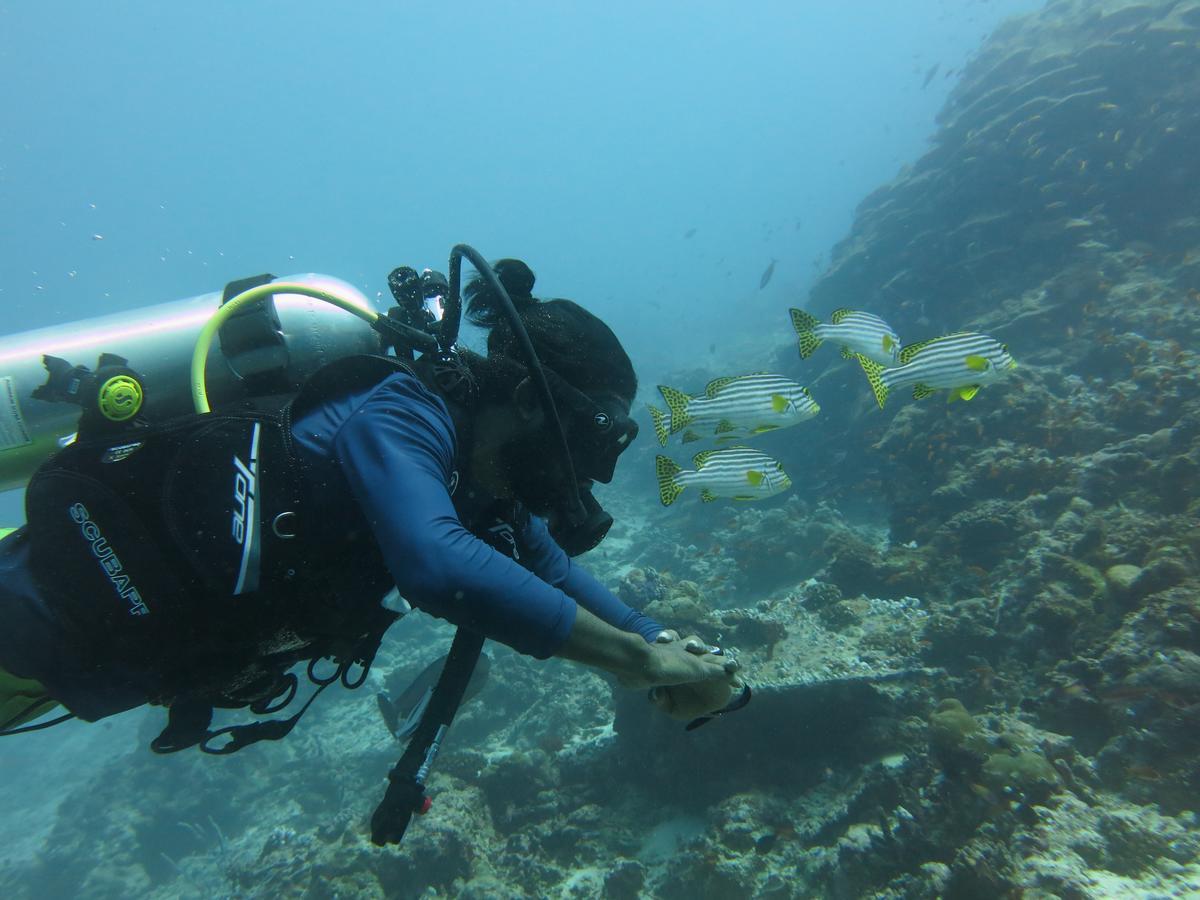 Rasdhoo Dive Lodge Exterior foto