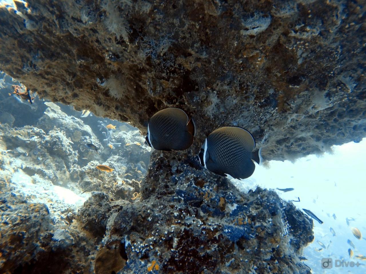 Rasdhoo Dive Lodge Exterior foto