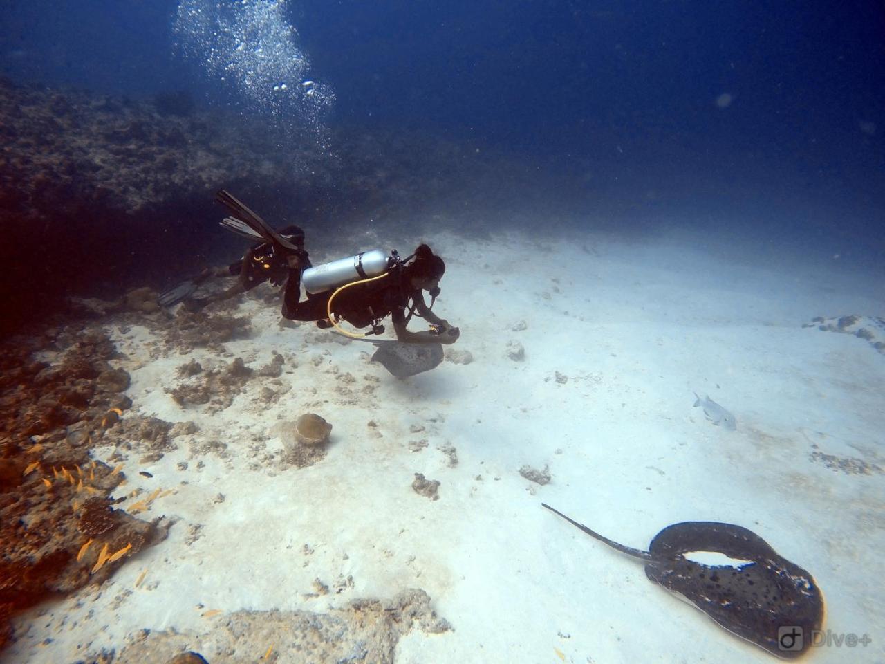 Rasdhoo Dive Lodge Exterior foto